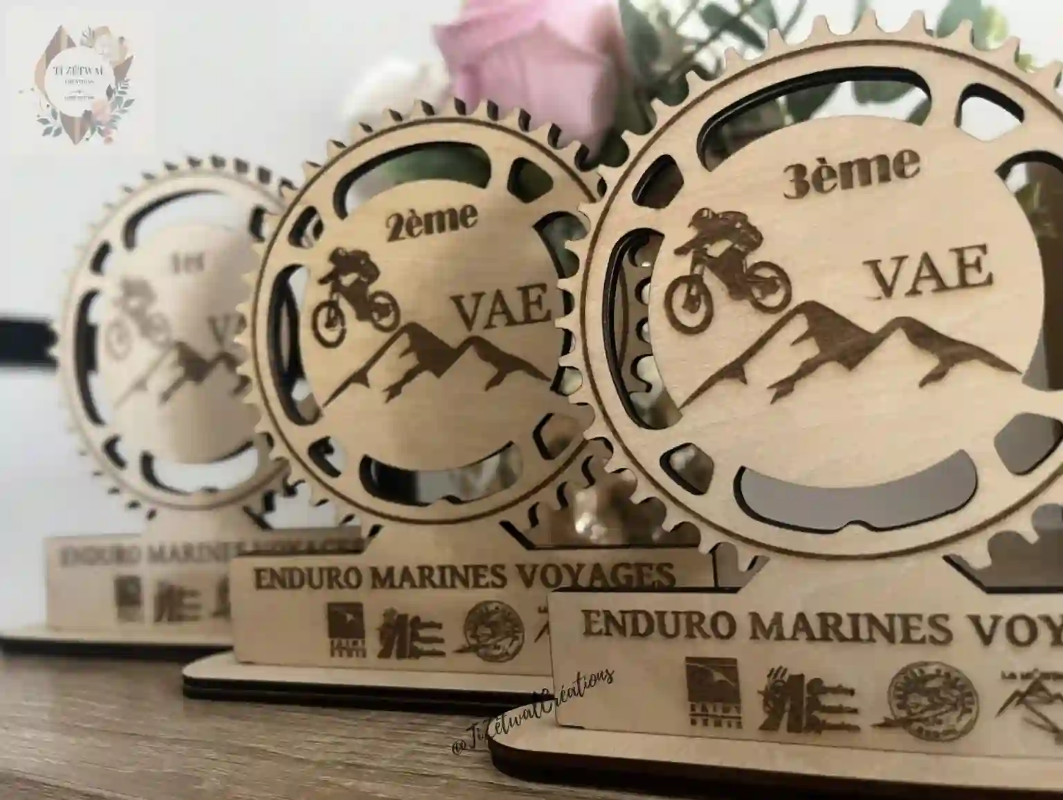Trophées de compétition